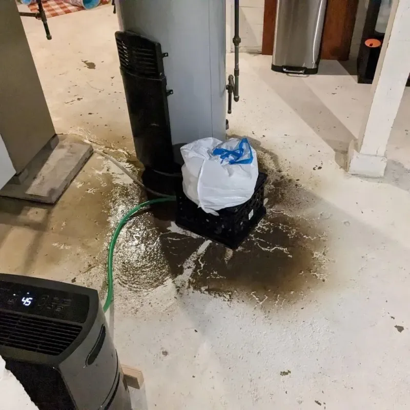 Sewage Backup Cleanup Service in Samson, AL